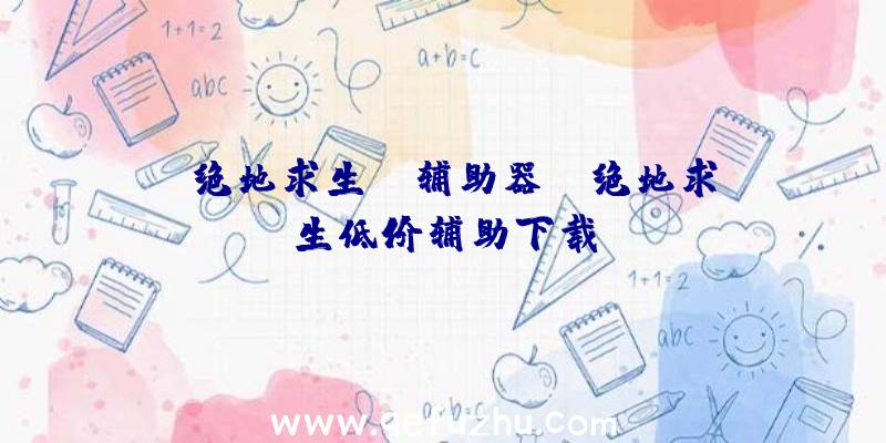 「绝地求生aj辅助器」|绝地求生低价辅助下载